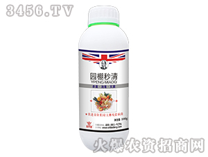 �����������-�@������-ʩ�R��