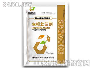 �������焩-ʢ���߿�