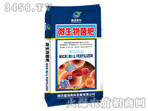 ΢�������-ʢ��(r��n)�߿�