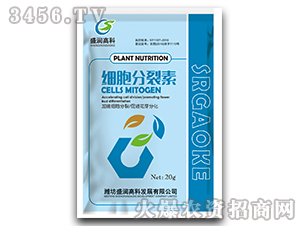 ��(x��)��������-ʢ���߿� 