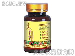 �����x(ch��ng)������ˎ�Ƅ�-�ݱ��VĿ-�еº���