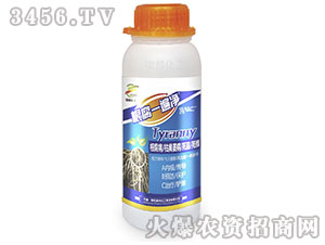 ����һ���-����