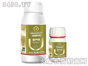 �׷�ʭ���Ú��x��-޼�J�A-����