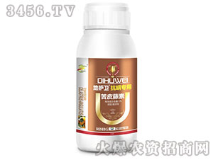 ��Ƥ���ؚ��x��-���o(h��)�l(w��i)-����