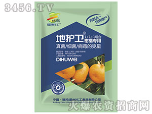 ���ٌ�(zhu��n)�Ú�����-���o(h��)�l(w��i)-����