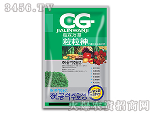 �V�V���ܽY(ji��)���~��-������-�����f��