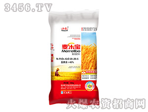 �ͻ����20-20-5-������-���S