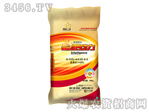 42%�������28-8-6-�������h(hu��n)-���S