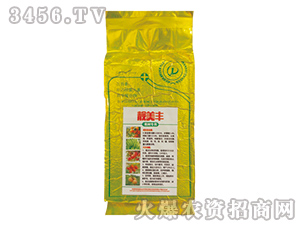 ���䌣���~���-�n���S-�����r(n��ng)�I(y��)