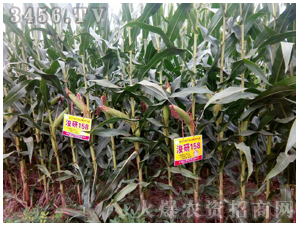 ����158-�����r(n��ng)�I(y��)