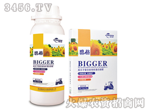 �������ø߷��ӏ�(f��)�����ЙC(j��)����Һ��-�̸�-�ɭ