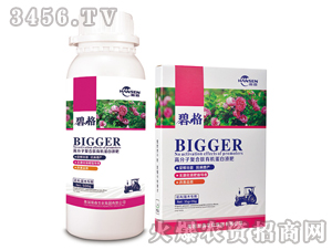 ������ľ���ø߷��ӏ�(f��)�����ЙC(j��)����Һ��-�̸�-�ɭ