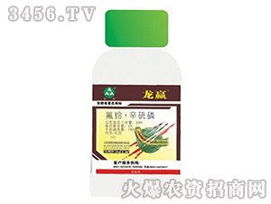 ���ᡤ����������-���A-��������