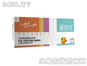 ��������-���İ�����������-������