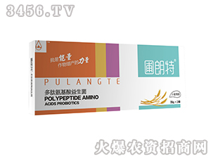 С������-���İ�����������-������