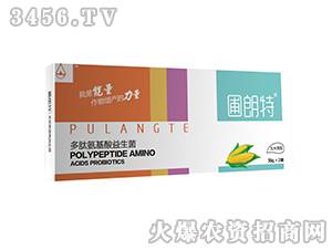 ��������-���İ�����������-������