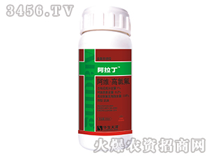 ������-�x�����Ч���x��