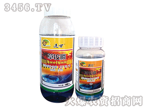 ���@�ˮ��-�ٸ��{-�G�µ�