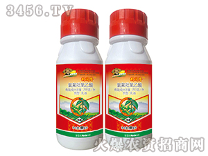 �ȷ�������������-�x�¡-�G�µ�