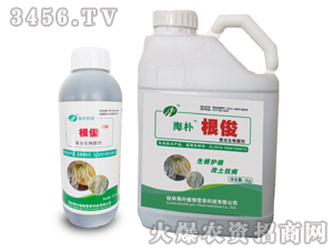 ��(f��)���������-����-����