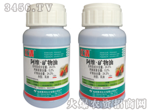 24.5%���S�V����-�t��-����