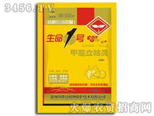 �׻������`������-����1̖(h��o)-ɳ¡�_(d��)