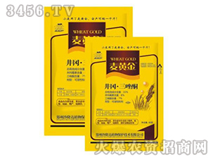 ����������ͪ������-���S��-ɳ¡�_