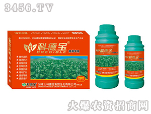 ���݌��àI�B(y��ng)���a�{�턩-�Ƶ�