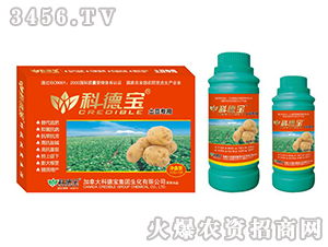 �������àI�B(y��ng)���a�{�턩-�Ƶ�