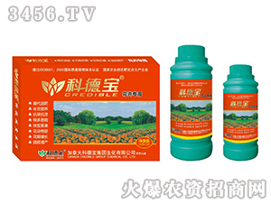 ���܌��àI�B(y��ng)���a�{�턩-�Ƶ�