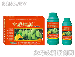 â�����àI�B(y��ng)���a�{�턩-�Ƶ�