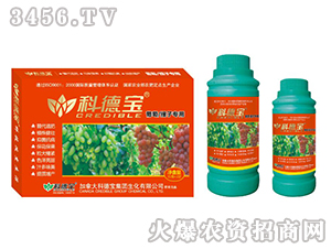 ���ѡ����ӌ��àI�B(y��ng)���a�{�턩-�Ƶ�