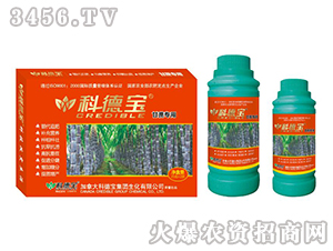 ���ጣ�àI�B(y��ng)���a�{�턩-�Ƶ�