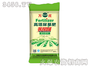 ���������-�ǳ��i-�f�f