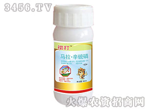 �R��������������-�ش�-�����r(n��ng)ˎ