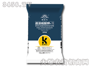 ���������+TE-����