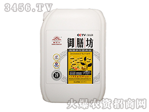 �����Ԫ�I�B(y��ng)Һ-���ŷ�-����