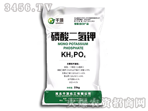 ��������-ǧ�-ǧ픻���