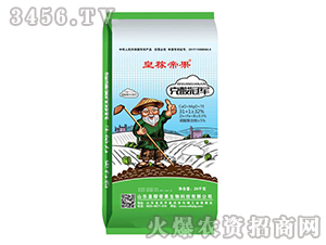 �����܊-�ʼڵ۹�