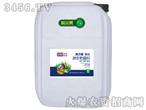 20kg΢�������-����-Ӣ����