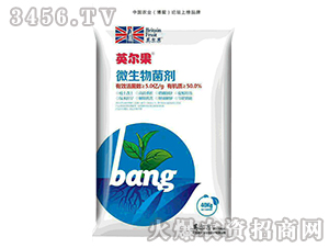 ΢�������-Ӣ����