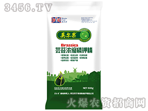 500g�|̦��s��⛾�-Ӣ����