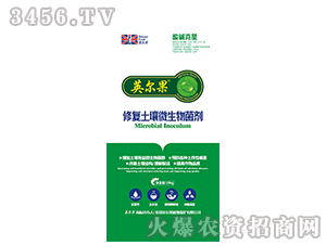 �ޏ�(f��)����΢�������-Ӣ����