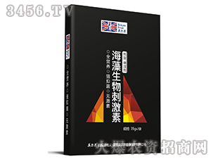 ��������̼��أ��У�-Ӣ����