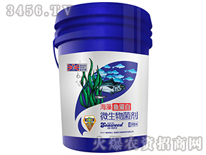 �B(y��ng)����΢�������-�����~����-Ӣ����