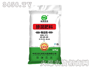 �������19-19-19-���r(n��ng)���S-���S