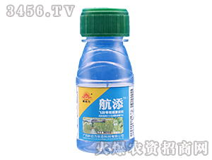 �w�����Ç��F����-����-����