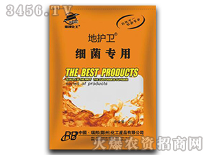 ���o(h��)�l(w��i)-��(x��)������-����