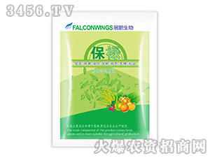 ���徫-����-չ�i����