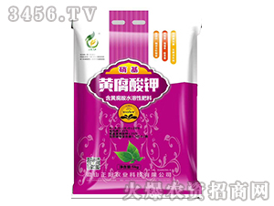 �����S�����-���(y��ng)�r(n��ng)�I(y��)